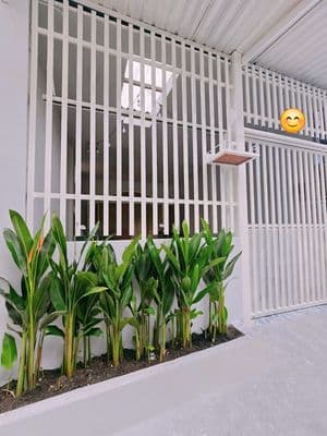 Siêu Giảm Sốc 84.4m2 Chỉ 4,335Tỷ HL 2 Chưa 51tr/m2 Sổ Hồng Gửi Bank
