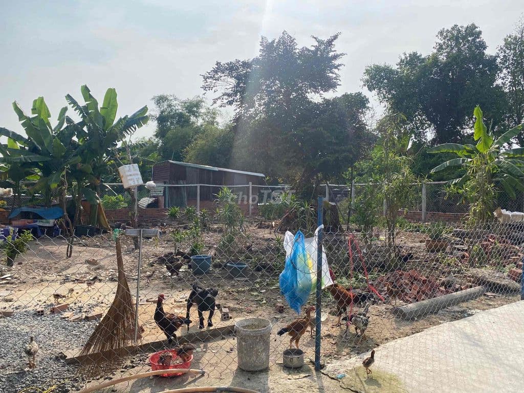 Cần bán đất Bà Điểm Hóc Môn giá 4 tỷ thương lượng