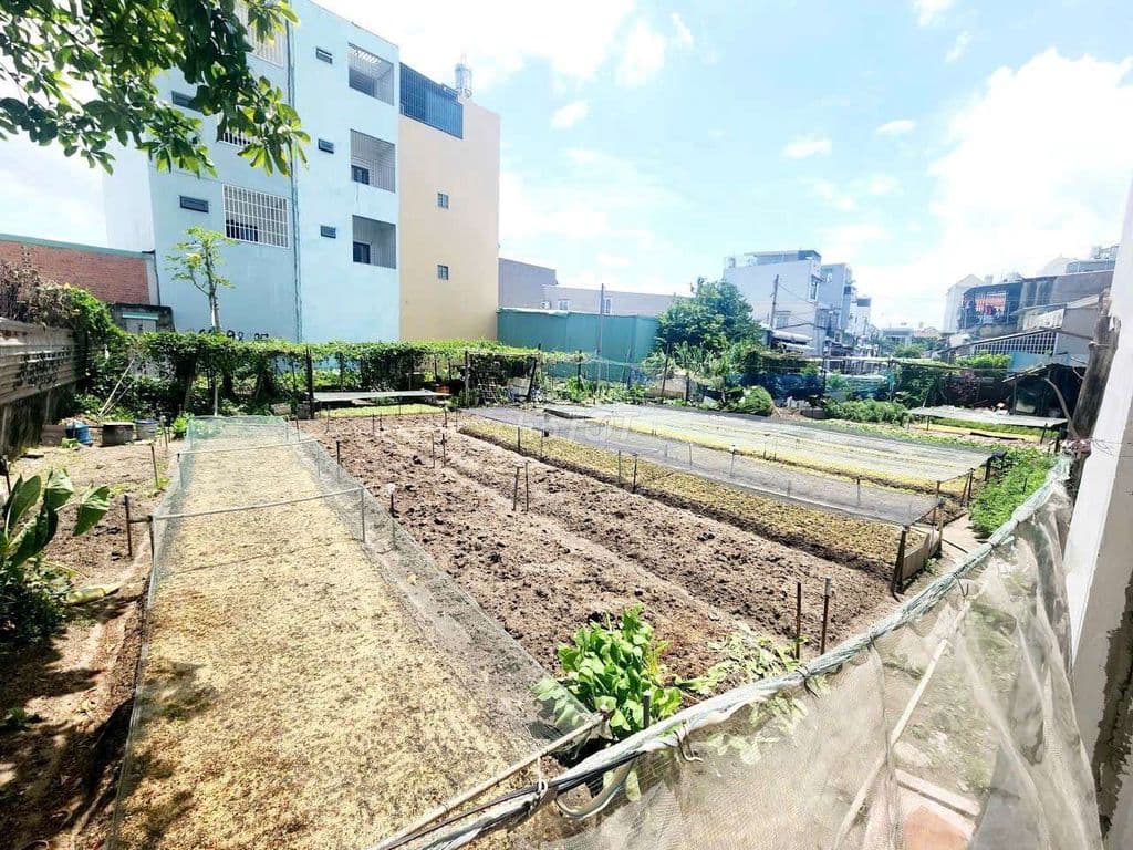 343m đất full thổ cư shr, Hiệp thành, Q12