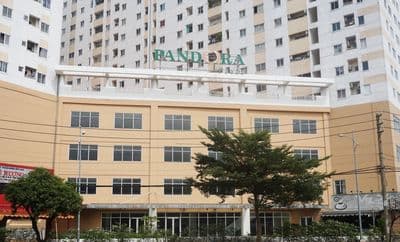 Căn hộ Hqc Hóc Môn ( Hoàng Quânh, giá 1.150 tỷ , 60m2, 2pn, 2wc.