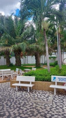 C/cư Useful giá rẻ nhất khu vực-gần sân bay-chợ TB-ĐHBK , Y Dược,k.tế
