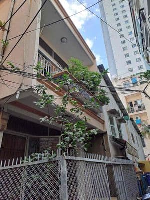 Hẻm yên tĩnh-nhà sân vườn ngay Q.1. Trệt, 1 lầu, 4.2 x 12.