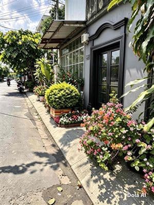 MTKD -NHỰA 10M2-60M2- PHAN VĂN ĐỐI-3xti