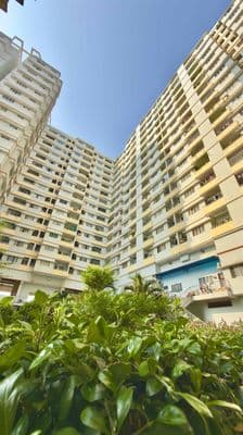 CH diện tích lớn 83m 2pn SHR sẵn hổ trợ vay bank