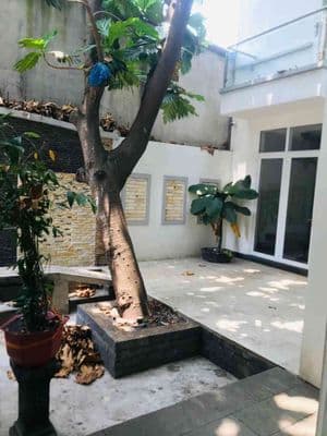 Nhà 1 lầu kiểu biệt thự sân vườn đang cho thuê dòng tiền 25 triệu /th