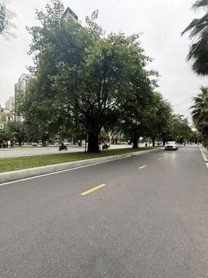 bán căn hộ Ocean Park 2PN 63m2 giá 3.850 tỷ