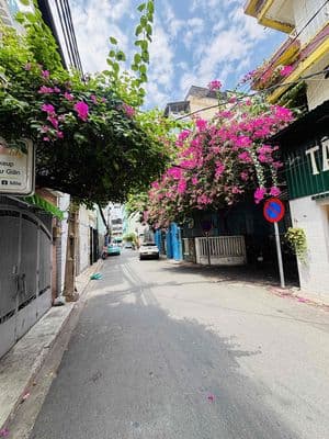 CHDV ngay Q.3 - đoạn đẹp nhất của đường Trần Quang Diệu ,9 phòng đẹp.
