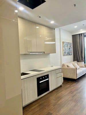 Tôi chính chủ cần bán căn 2N+ 64m2 giá 4,8 tỷ, Vinhomes Smart City.