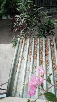 Bán nhà ở