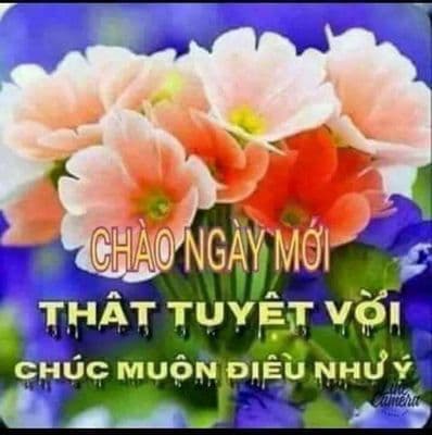 bán nhà 2 mặt tiền, đuờng rộng 25m và 10m, cách nhà ga T3 sb TSN 5p