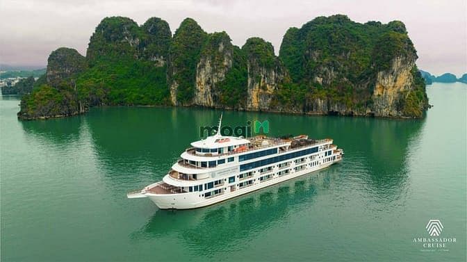 Căn Hộ View Trực Diện Vịnh Hạ Long – Sun Centro Town Bãi Cháy